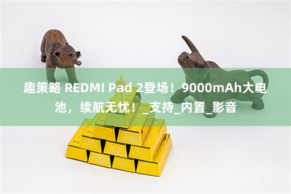 趣策略 REDMI Pad 2登场!9000mAh大电池,续航无忧!_支持_内置_影音