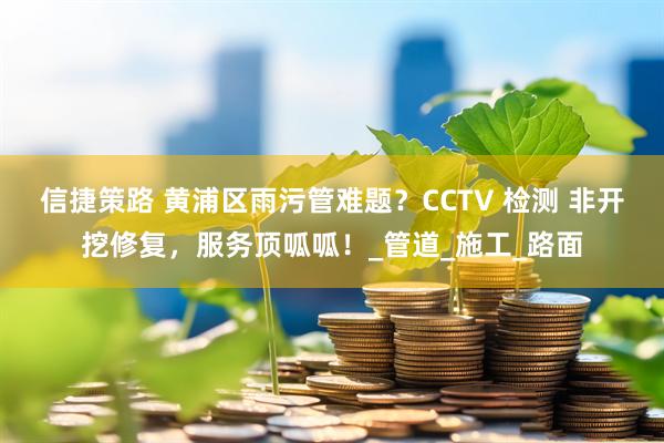 信捷策路 黄浦区雨污管难题?CCTV 检测 非开挖修复,服务顶呱呱!_管道_施工_路面